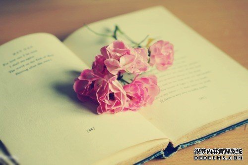 测试：你最近的桃花指数有多高？