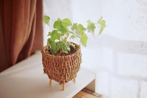 爱情不顺风水，能让婚姻顺利的风水，让你爱情不顺风水