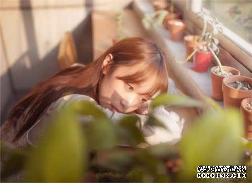 测试：你更倾向做一个，职业女性or家庭妇女？