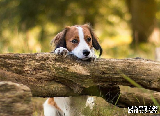 测你是不是一个迷恋过去的人