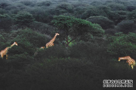 测测看7月份你是否有足够的好运