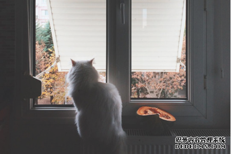 测你会被哪种枷锁束缚住