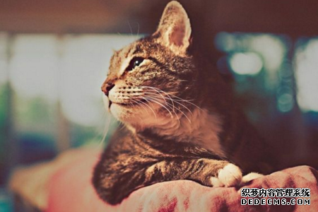 测你现在的心理年龄是什么阶段