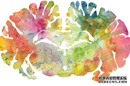 测你哪个小脑更加聪明