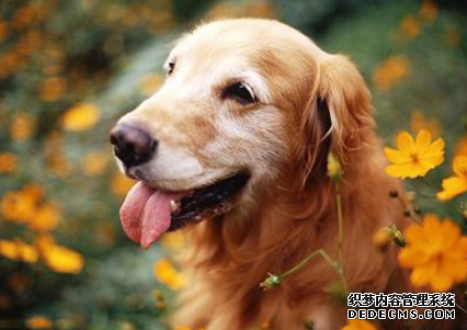 才华能为你赢得啥