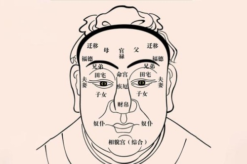 面相入门基础知识，面相学入门知识大全！