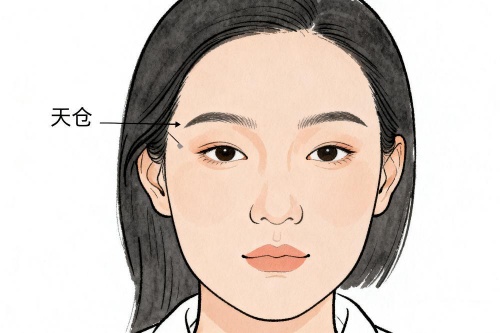 面相中天仓是指哪个部位
