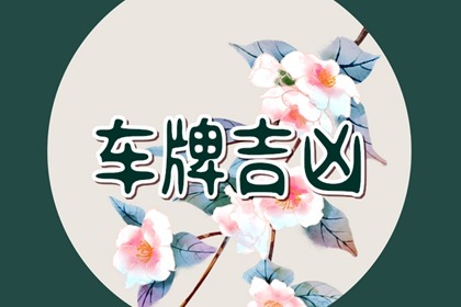 J这个字母好不好  大吉的车牌数字字母