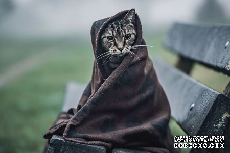 快来看看让你成为月光族的原因是什么呢