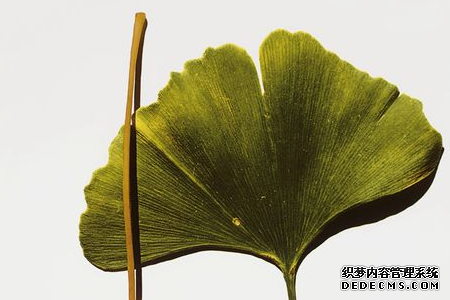测你八月财运