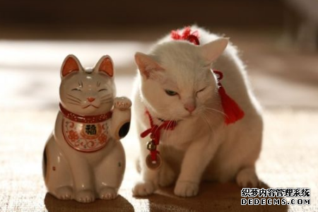 测你该如何省钱