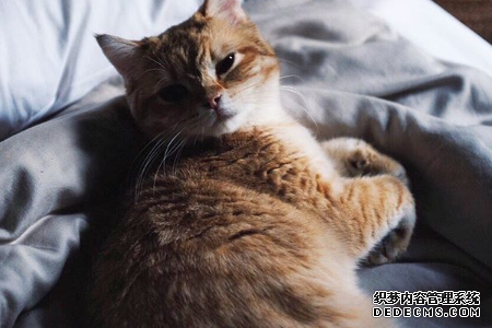 测你内心的压抑程度