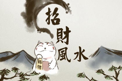 十大阳台招财植物摆件 什么是最合适的