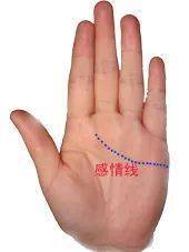 手相图解大全，教你手相看运程！