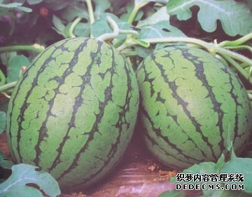 心理测试：渴了想摘哪个水果吃？测你即将要发生的好事是什么