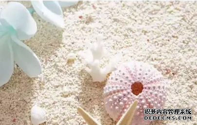 测试：你会为工作献身吗？