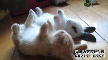 你能和上司打成一片吗？