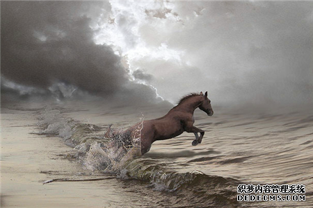 测试你的AQ指数有多高