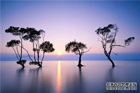 测试你的AQ指数有多高