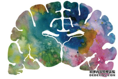 测你哪个小脑更加聪明