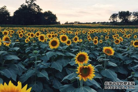 测你现在最在意什么