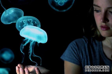 你对自己有多了解呢