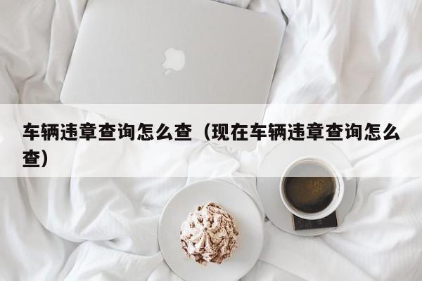 车辆违章查询怎么查（现在车辆违章查询怎么查）