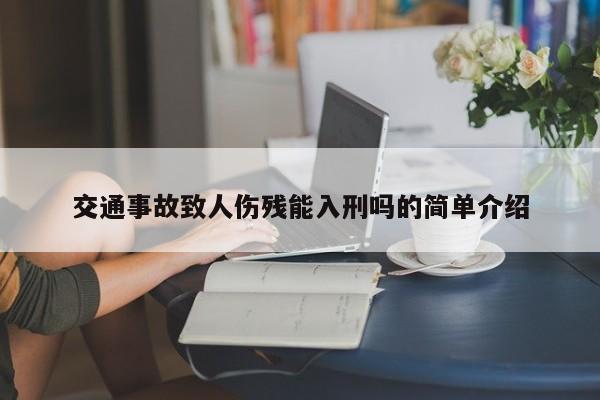 交通事故致人伤残能入刑吗的简单介绍
