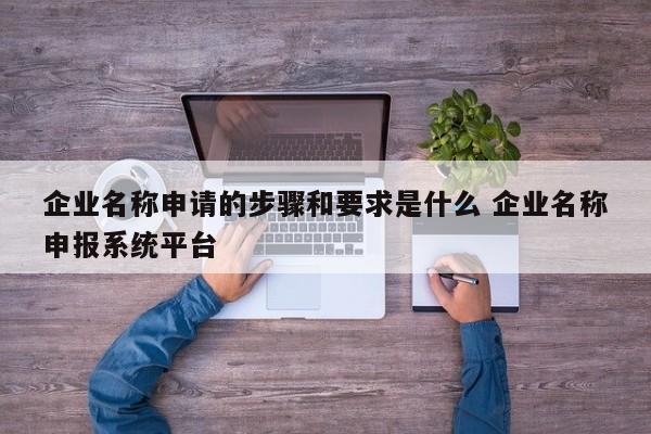 企业名称申请的步骤和要求是什么 企业名称申报系统平台