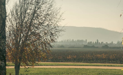 刑事诉讼法侦查期间的时间限制