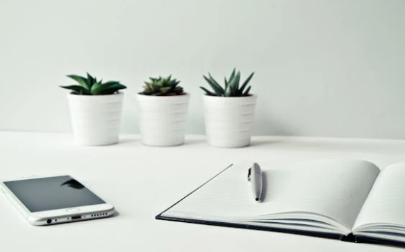 挂名股东需承担的法律责任