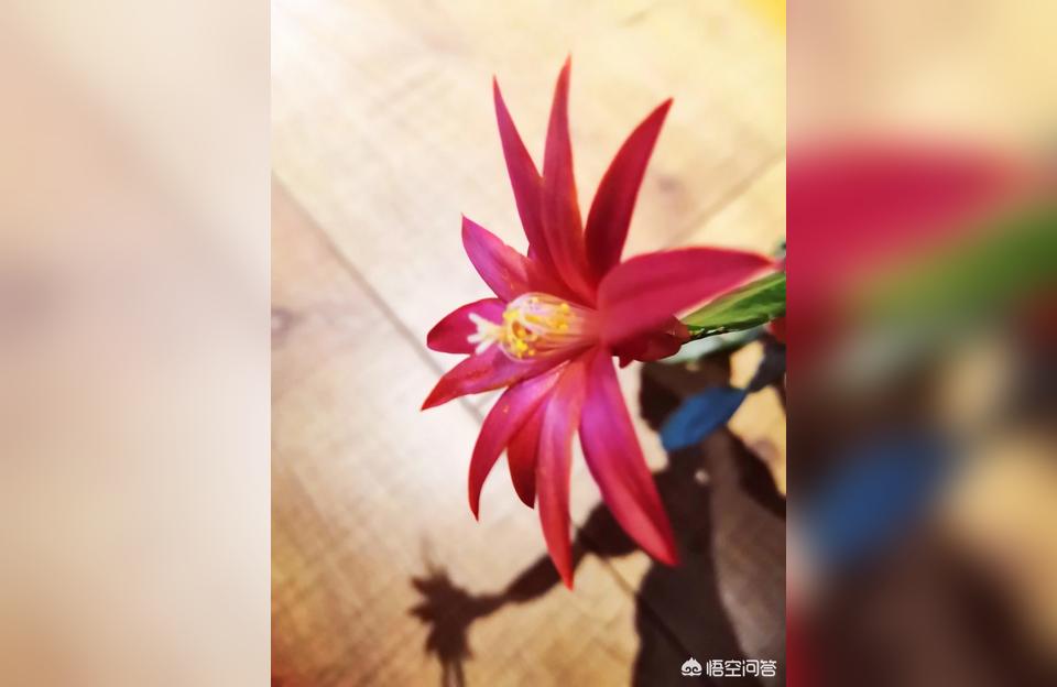 霸座纳入民法典,为什么霸座这种现象越来越多?