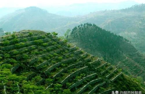 讲好民法典护航乡村振兴,但不是农村户口?