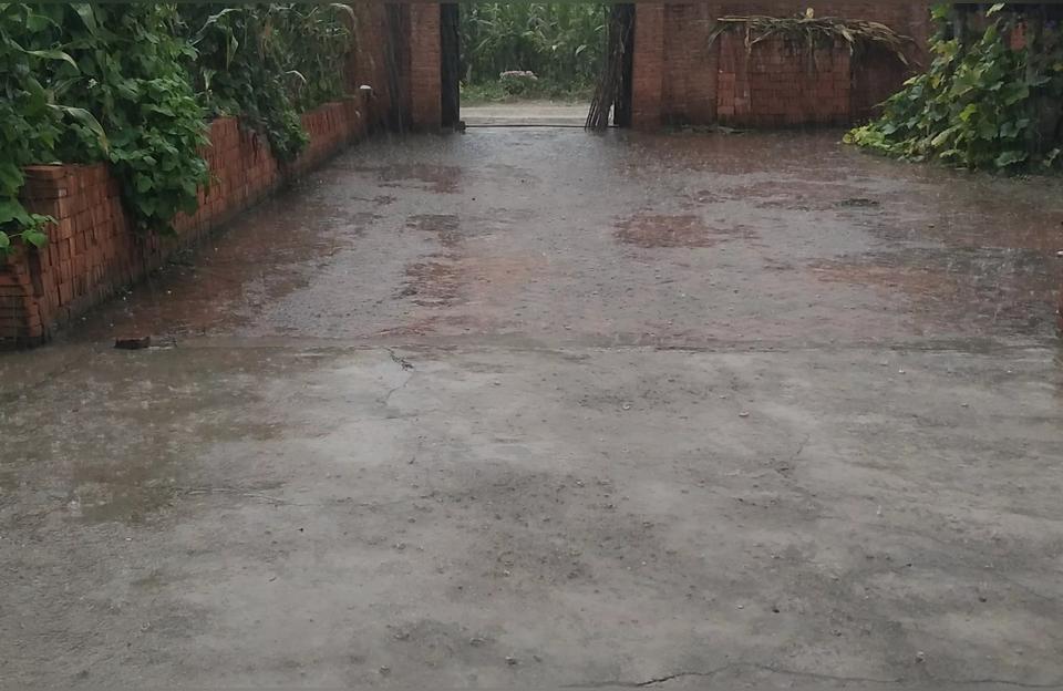 民法典天价彩礼规定,2021年民法典已生效?