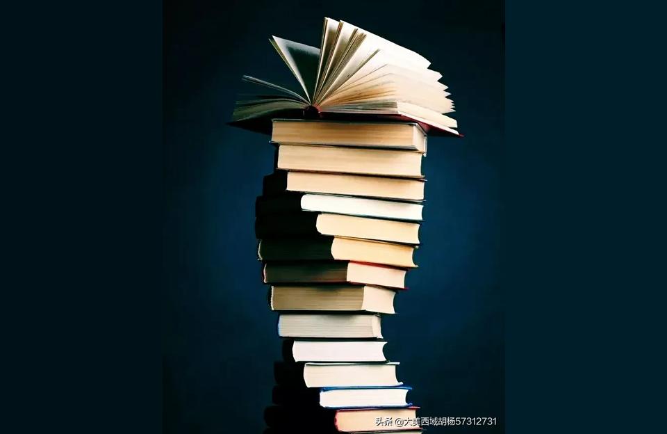 参加民法典答题活动报告,民法典与我同行的重要内容?