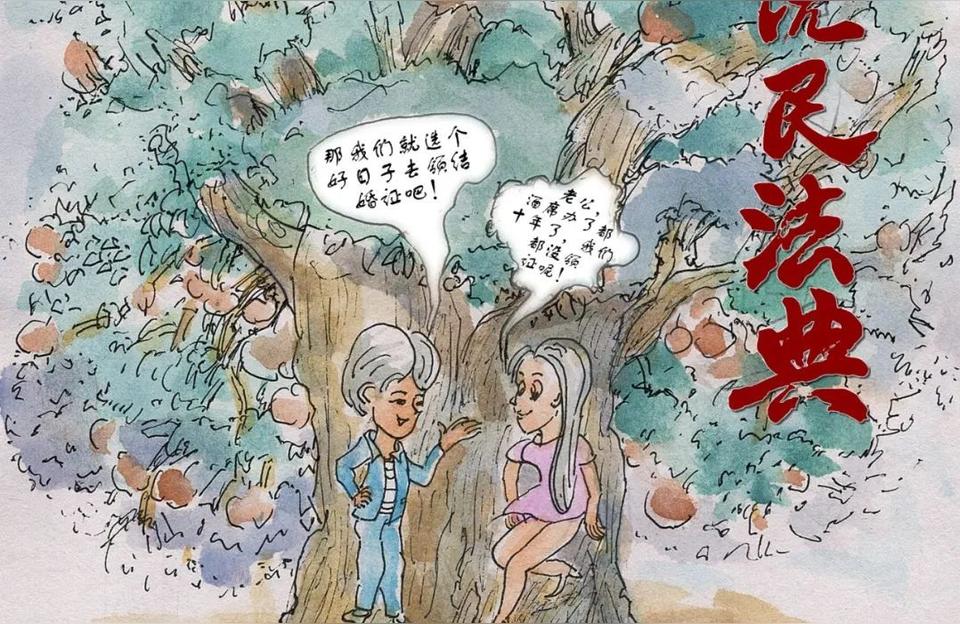 民法典的体系价值,民法典有哪些实用性?