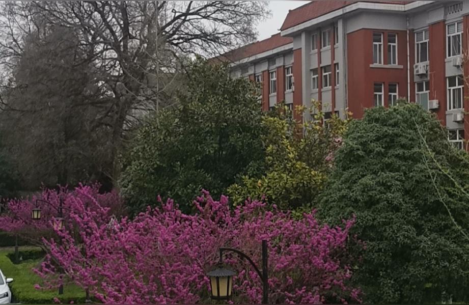 民法典领导干部,民法典第61条第三款?