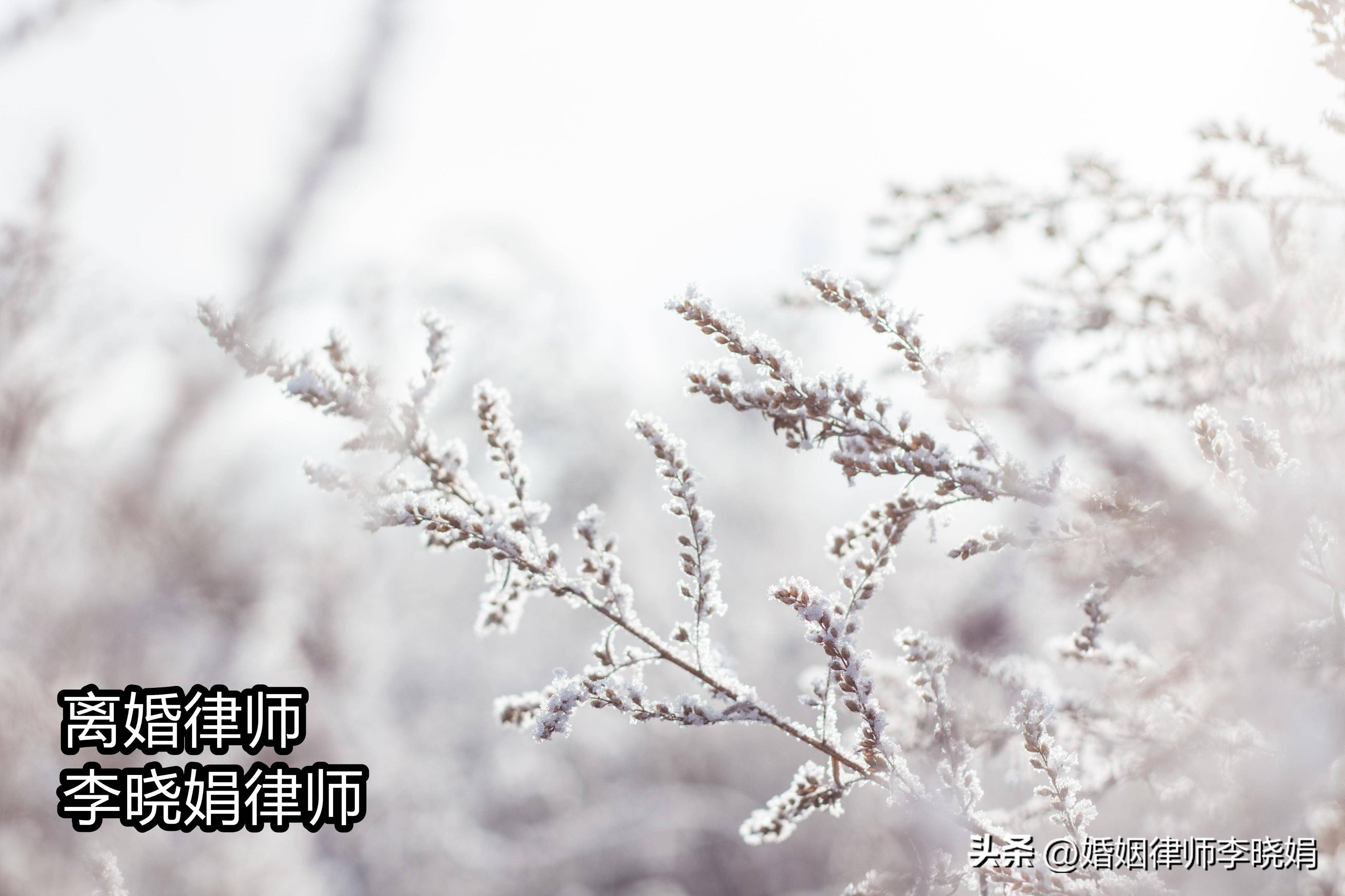 离婚抚养权的判定标准是什么（有关抚养权的判定原则）