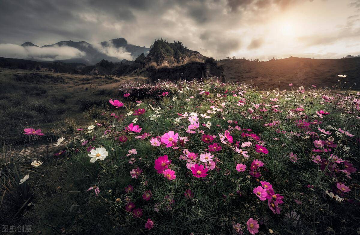 农村养老金每月多少钱（2023年养老金最新消息）