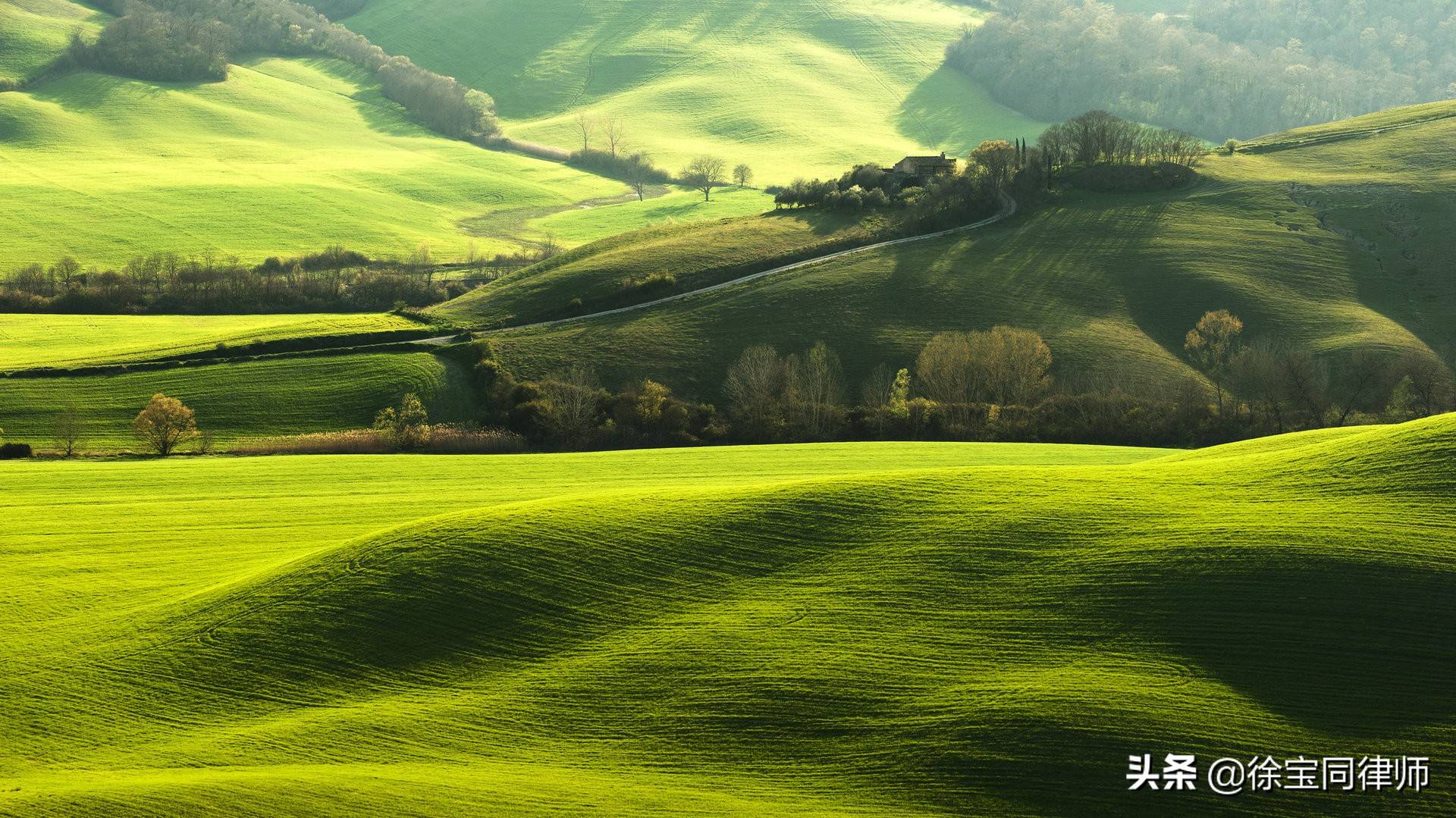 清算费用包括什么（公司自行清算注销的详细流程）