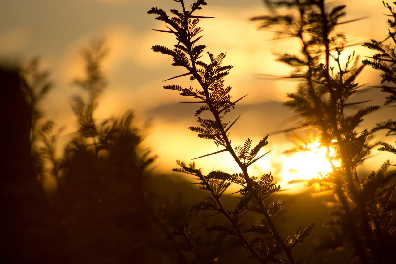 离婚上诉状应该怎么写（离婚二审上诉状范文模板）