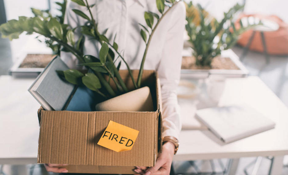 裁员和辞退的区别是什么（劳动法辞退补偿标准）