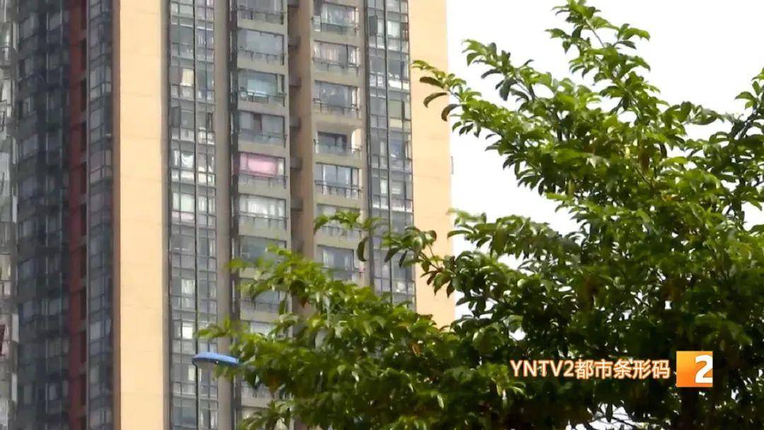 物业管理条例是法律吗（民法典关于物业的新规定）