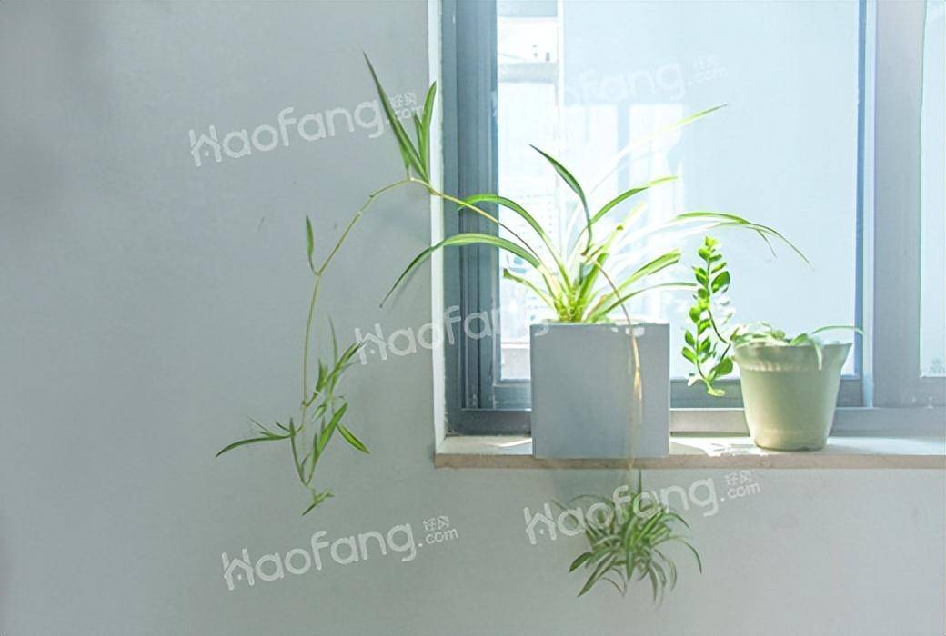 解除房屋抵押登记流程（房子还清贷款解抵押的步骤）