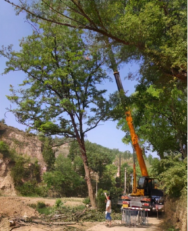 电力法实施细则（国家电力设施保护条例实施细则）