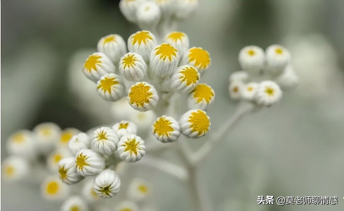 老公有外遇怎么处理（婚后出轨最好的处理方式）