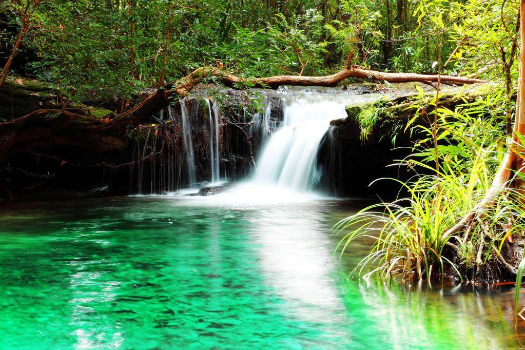 法律上的效力是什么意思（关于法律效力的解释及效力）