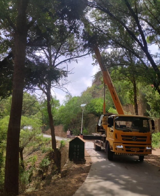 电力法实施细则（国家电力设施保护条例实施细则）