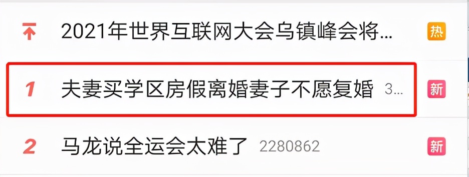 夫妻为买房假离婚房产归谁（假离婚买房注意细节）