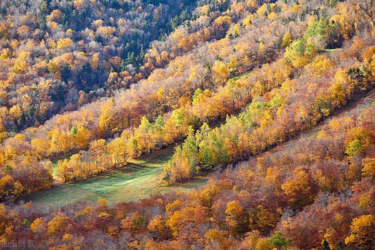 山林土地权属纠纷有关法律（农村山林纠纷处理依据问题）